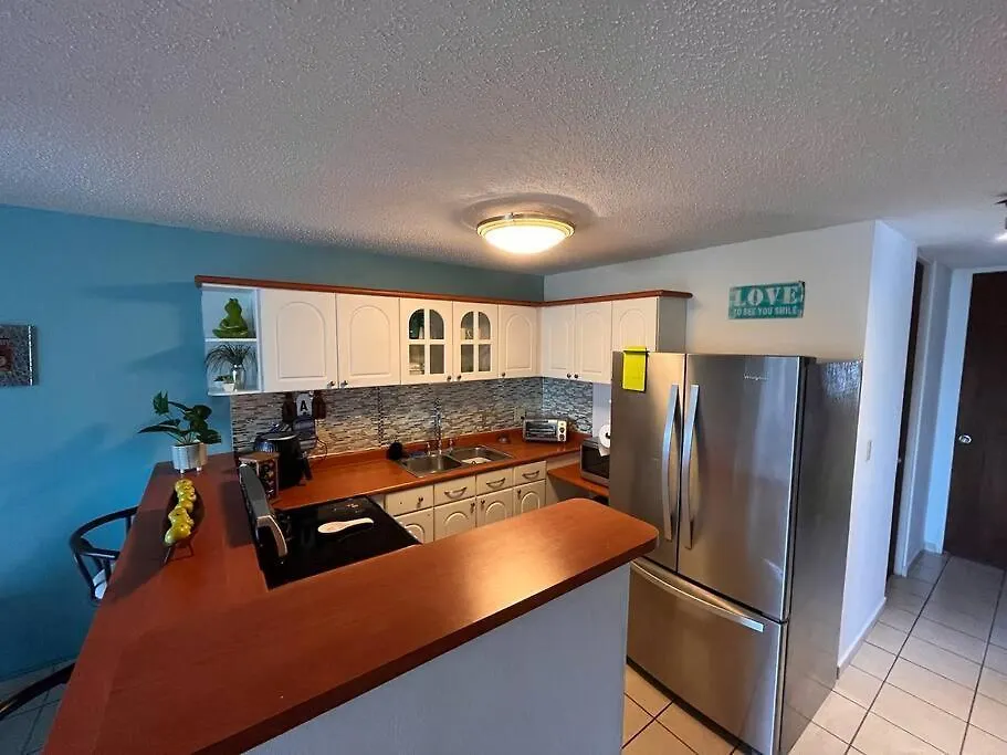 Penthouse In San Juan Lejlighed